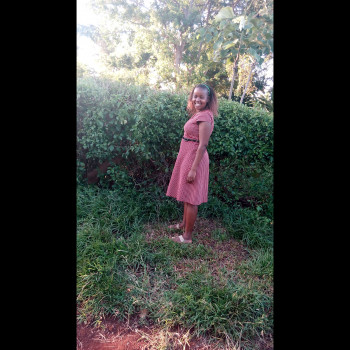 Elosy